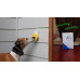 Hundedørklokke (Enkelt sender og enkelt modtager til 1 dør), Digital